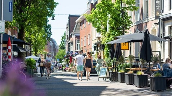 DE BERGEN